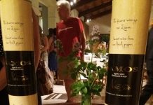 ΤΟ ΑΣΤΥΝΟΜΙΚΟ ΜΥΘΙΣΤΟΡΗΜΑ ΤΗΣ ΕΡΗΣ ΡΙΤΣΟΥ ΣΤΟ ΜΟΥΣΕΙΟ ΟΙΝΟΥ