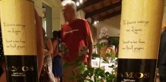 ΤΟ ΑΣΤΥΝΟΜΙΚΟ ΜΥΘΙΣΤΟΡΗΜΑ ΤΗΣ ΕΡΗΣ ΡΙΤΣΟΥ ΣΤΟ ΜΟΥΣΕΙΟ ΟΙΝΟΥ