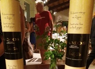 ΤΟ ΑΣΤΥΝΟΜΙΚΟ ΜΥΘΙΣΤΟΡΗΜΑ ΤΗΣ ΕΡΗΣ ΡΙΤΣΟΥ ΣΤΟ ΜΟΥΣΕΙΟ ΟΙΝΟΥ