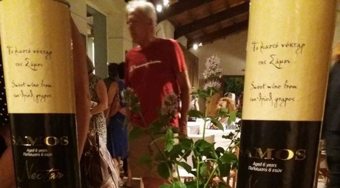 ΤΟ ΑΣΤΥΝΟΜΙΚΟ ΜΥΘΙΣΤΟΡΗΜΑ ΤΗΣ ΕΡΗΣ ΡΙΤΣΟΥ ΣΤΟ ΜΟΥΣΕΙΟ ΟΙΝΟΥ