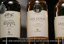 Κρασί ΕΟΣΣ: Το υγρό “χρυσάφι” της Σάμου