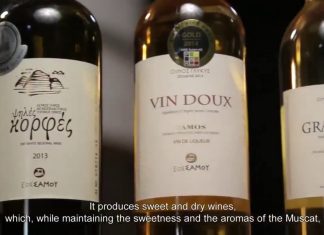 Κρασί ΕΟΣΣ: Το υγρό “χρυσάφι” της Σάμου