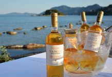 Σαμιώτικα κρασιά με φόντο το Ποντικονήσι