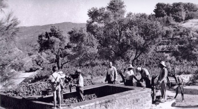 Οι δουλειές του «πατηριού»