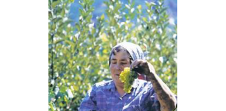 Το χωράφι του παραγωγού, όπλο (και) του τουρισμού!