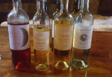 Συνέντευξη της Μαργαρίτας Ικαρίου στον διευθυντή του ΣΚΑΙ Σταμάτη Μαλέλη για τα κρασιά του ΕΟΣΣ