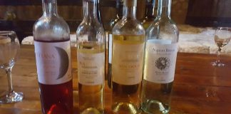 Συνέντευξη της Μαργαρίτας Ικαρίου στον διευθυντή του ΣΚΑΙ Σταμάτη Μαλέλη για τα κρασιά του ΕΟΣΣ