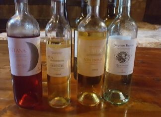 Συνέντευξη της Μαργαρίτας Ικαρίου στον διευθυντή του ΣΚΑΙ Σταμάτη Μαλέλη για τα κρασιά του ΕΟΣΣ