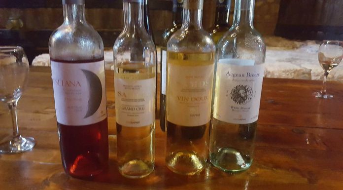 Συνέντευξη της Μαργαρίτας Ικαρίου στον διευθυντή του ΣΚΑΙ Σταμάτη Μαλέλη για τα κρασιά του ΕΟΣΣ