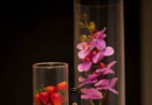 Γνωριμία με τον κόσμο των «Ψηλών Κορφών»