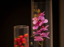 Γνωριμία με τον κόσμο των «Ψηλών Κορφών»