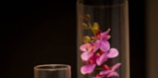 Γνωριμία με τον κόσμο των «Ψηλών Κορφών»