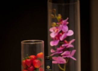 Γνωριμία με τον κόσμο των «Ψηλών Κορφών»