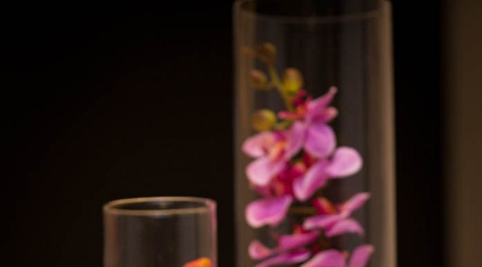 Γνωριμία με τον κόσμο των «Ψηλών Κορφών»