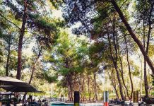 Οι δρόμοι του σαμιώτικου κρασιού στο Piu Verde Άλσος Παπάγου