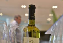 ΨΗΛΕΣ ΚΟΡΦΕΣ και ΑΝΘΕΜΙΣ ΣΤΟ ΕΛ. ΒΕΝΙΖΕΛΟΣ