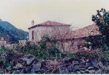 ΣΑΜΙΩΤΙΚΑ ΚΑΛΥΒΙΑ