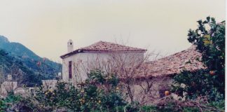 ΣΑΜΙΩΤΙΚΑ ΚΑΛΥΒΙΑ