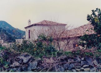 ΣΑΜΙΩΤΙΚΑ ΚΑΛΥΒΙΑ