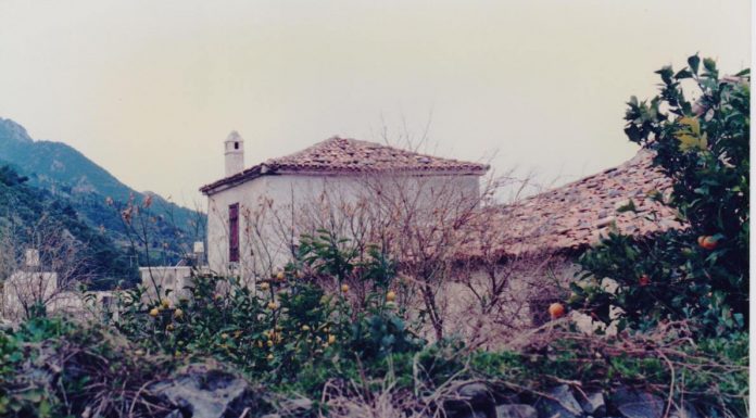 ΣΑΜΙΩΤΙΚΑ ΚΑΛΥΒΙΑ