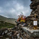ΠΡΕΣΒΕΥΤΕΣ ΤΩΝ ΚΡΑΣΙΩΝ ΜΑΣ στη HoReCa 2018