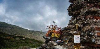 ΠΡΕΣΒΕΥΤΕΣ ΤΩΝ ΚΡΑΣΙΩΝ ΜΑΣ στη HoReCa 2018