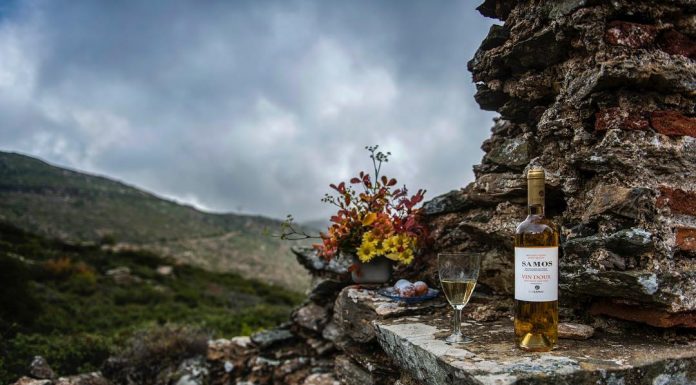 ΠΡΕΣΒΕΥΤΕΣ ΤΩΝ ΚΡΑΣΙΩΝ ΜΑΣ στη HoReCa 2018