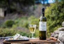 «Σάρωσε» τα μετάλλια ο ΕΟΣΣ και στη Θεσσαλονίκη