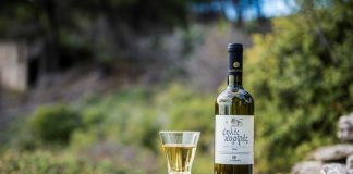 «Σάρωσε» τα μετάλλια ο ΕΟΣΣ και στη Θεσσαλονίκη