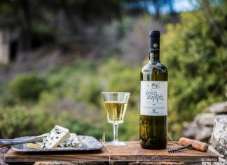 «Σάρωσε» τα μετάλλια ο ΕΟΣΣ και στη Θεσσαλονίκη