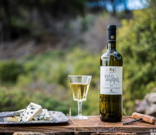 «Σάρωσε» τα μετάλλια ο ΕΟΣΣ και στη Θεσσαλονίκη