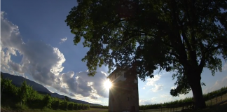 ΑΝΟΙΧΤΕΣ ΠΟΡΤΕΣ ΣΤΟ ΜΟΥΣΕΙΟ ΟΙΝΟΥ ΤΟΥ ΕΟΣ ΣΑΜΟΥ