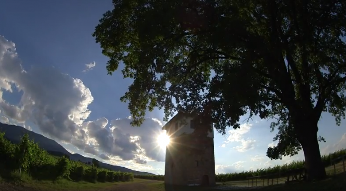 ΑΝΟΙΧΤΕΣ ΠΟΡΤΕΣ ΣΤΟ ΜΟΥΣΕΙΟ ΟΙΝΟΥ ΤΟΥ ΕΟΣ ΣΑΜΟΥ