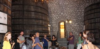 «ΜΕΤΑΠΤΥΧΙΑΚΟ» ΣΤΟ ΜΟΥΣΕΙΟ ΟΙΝΟΥ