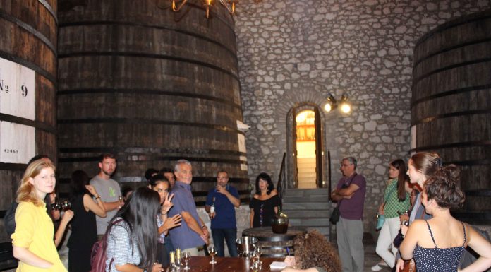 «ΜΕΤΑΠΤΥΧΙΑΚΟ» ΣΤΟ ΜΟΥΣΕΙΟ ΟΙΝΟΥ