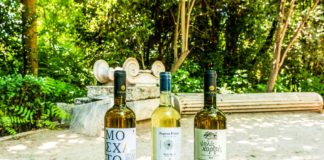 ΤΑ ΚΡΑΣΙΑ ΤΗΣ ΣΑΜΟΥ ΕΧΟΥΝ… «ΑΙΓΛΗ»