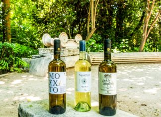 ΤΑ ΚΡΑΣΙΑ ΤΗΣ ΣΑΜΟΥ ΕΧΟΥΝ… «ΑΙΓΛΗ»