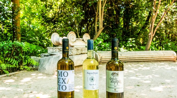 ΤΑ ΚΡΑΣΙΑ ΤΗΣ ΣΑΜΟΥ ΕΧΟΥΝ… «ΑΙΓΛΗ»