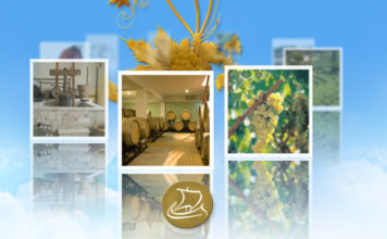 Έκτακτη ενίσχυση Ελαιοπαραγωγών λόγω της πανδημίας του Covid-19