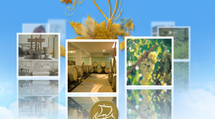 ΑΝΑΚΟΙΝΩΣΗ