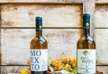 ΕΛΙΑ, ΛΕΜΟΝΙ και… ΣΑΜΙΩΤΙΚΟ ΚΡΑΣΙ