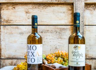 ΕΛΙΑ, ΛΕΜΟΝΙ και… ΣΑΜΙΩΤΙΚΟ ΚΡΑΣΙ