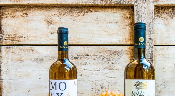 ΕΛΙΑ, ΛΕΜΟΝΙ και… ΣΑΜΙΩΤΙΚΟ ΚΡΑΣΙ