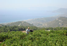 Οι αιτήσεις εγγραφής στον ΕΟΣ ΣΑΜΟΥ ξεκίνησαν