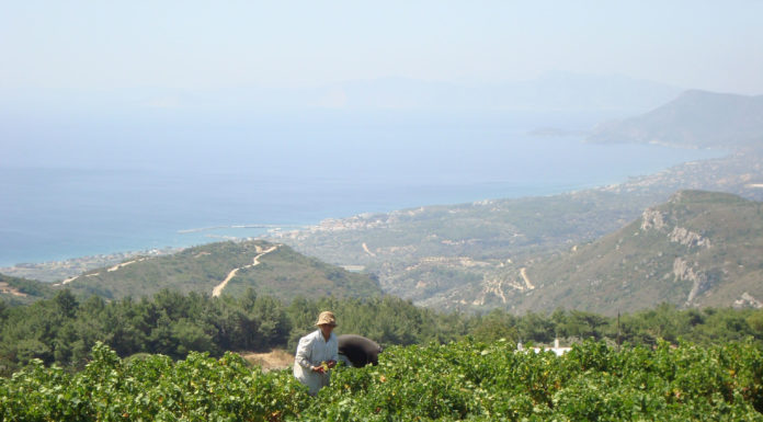 Οι αιτήσεις εγγραφής στον ΕΟΣ ΣΑΜΟΥ ξεκίνησαν