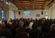 ΕΛΙΑ ΚΑΙ ΚΑΛΛΙΕΡΓΕΙΑ