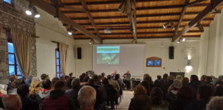 ΕΛΙΑ ΚΑΙ ΚΑΛΛΙΕΡΓΕΙΑ