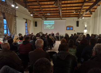 ΕΛΙΑ ΚΑΙ ΚΑΛΛΙΕΡΓΕΙΑ