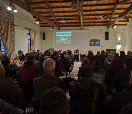 ΕΛΙΑ ΚΑΙ ΚΑΛΛΙΕΡΓΕΙΑ