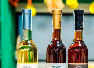 Η ΣΑΜΟΣ ΣΤΟ ΠΟΤΗΡΙ ΤΗΣ ΧΑΛΚΙΔΙΚΗΣ